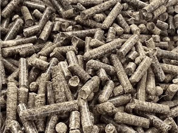 Processed biomass feedstock